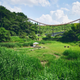 Illustration for article titled New Pokémon Theme Park That Celebrates Nature Opening In Japan